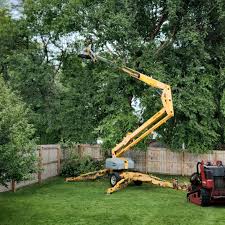 Best Lawn Watering Services  in Republic, WA